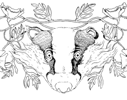 badger-endpiece.png